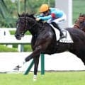 「返し馬あぶねえ」→２歳最速タイムマーク　良血馬の圧巻パフォにネット歓喜「東京で観たい」「ダービーまで楽しみ」　阪神５Ｒキングリア