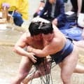「何もできなかった」寿之富士　上位の形の破壊力に脱帽　若元春の左四つになすすべなく敗れる