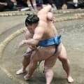 新関脇・伯乃富士が琴栄峰を下して３勝目　黒星先行も「自分の相撲を取れば、結果はついてくる」