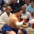 藤ノ川が琴櫻を“ぶん投げた”らスゴイ展開に 著名人2人が揃って「お口あんぐり」 カメラが捉えた面白リアクション「シンクロしてるw」