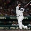 【阪神】大山悠輔が劇的なサヨナラ本塁打「何よりチームが勝てたことが一番うれしい」虎党総立ち