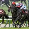 【神戸新聞杯】二冠馬ロブチェンが秋初戦V…ゴール前の大接戦制し三冠へ好発進