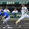 阪神・近本　またマルチで１００安打あと３　止まらない１３戦連続Ｈで吉田義男の球団記録目前