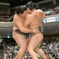天昇山　無傷５連勝で最速タイ所要６場所での新十両へ前進　７戦全勝なら確実「変わらない。一日一番頑張っていく」