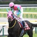 【２２日の注目・中山１０Ｒ】ディープインパクトの偉大な血を引くのはこの馬だけ…　ロゼルがメモリアルレースで一発を狙う