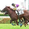 【中山５Ｒ・２歳新馬】ローズサルーテが豪脚一閃Ｖ　今年４０勝目の小林美駒騎手「背中の良さや俊敏性を感じました」