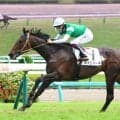 【中山６Ｒ・２歳新馬】リーチザクラウン産駒ネオロマーネが８馬身差Ｖ　横山武史騎手「いろいろとうまくいった」