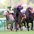 今は亡きリーチザクラウンにネットしみじみ「最後に大物」「渋すぎる」　伝説の新馬戦２着馬の最終世代産駒が圧勝デビュー　　