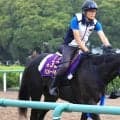 【注目馬動向】″キングジョージ”から巻き返し図るマスカレードボールは天皇賞・秋へ　手塚久調教師「使う方向です」