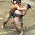 幕下・米沢龍が勝ち越し　関取経験者で学生横綱・花の富士との対戦は「めちゃくちゃ怖かった。勝てたことは自信になる」
