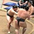 幕下・大森、勝ち越し王手も「気を付けます」　立ち合い不成立を反省