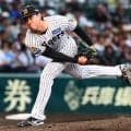 【阪神】藤川監督、工藤泰成２イニングに「準備があってのこと。しっかり育成すると選手が輝く」