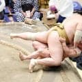 十両輝が10連勝　中学時代からの親友の炎鵬を寄り倒し「必死でいかないとやられる」