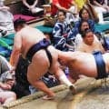 「横綱より目立ってるやんｗ」笑点で大人気のウクレレ漫談芸人　ちょんまげ姿で砂かぶり席最前列に　黄色のド派手な衣装「存在感あるわ」