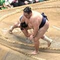十両の友風が玉鷲に真っ向勝負も６敗目　「最後のはたきが強引だった」と反省