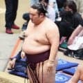 白地に茶色“チョコまみれ”化粧まわし「ぬぅーーーん」デザインの提案者は誰？時不動は反響に喜び