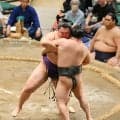 大青山が先輩の翠富士破り勝ち越し　飛龍高恩師の観戦は知らず「そうなんですか」うれしい報告へ