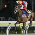 【シリウスS】ラムジェット、オニャンコポンなどが登録