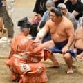 新関脇藤ノ川が自身最速勝ち越し　立ち合い直後の突き落としに「お客さまは残念」と西岩親方