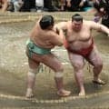 大関昇進を目指す熱海富士が勝ち越し　大関・琴桜を破る