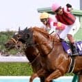 【スプリンターズＳ・イシゴーの特注馬】９歳ウインカーネリアン衰えなし　連覇へ気配の良さ目を引く