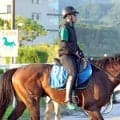 【スプリンターズＳ・理貴の特注馬】条件問わず堅実なレイピア　Ｇ１の舞台で待望の初タイトルを