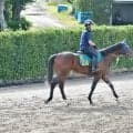 スワーヴバシレウスは気配に注目 日曜の中山芝2000mで初陣/関東馬メイクデビュー情報