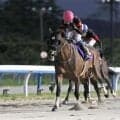 【金沢・白山大賞典結果】ホウオウルーレットが捲りを決めて重賞3勝目！