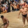 大の里が１敗を守って優勝争いトップ　八角理事長「馬力が戻ってきた」