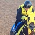 【シリウスＳ】ヴァルツァーシャルが距離延長で重賞２勝目狙う　陣営「じっくりいける点でいい」