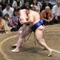 〇●〇●〇●〇●〇→〇　幕内・欧勝馬が連勝で抜け抜けを脱する「少し気になっていた。どこかで白星に変えたいと思っていた」