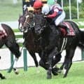 ロブチェンが秋の始動戦を制して菊花賞へ 夏を越し上積みが見込める血統構成