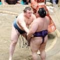 美ノ海が安青錦に敗れ３敗目「頭が上がっちゃだめですね」密着され攻め切れず勝ち越し持ち越し