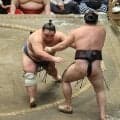 幕内・藤凌駕が大関戦初勝利「たまたまではなく、自分の相撲で勝てたので、うれしい」　結びの一番までの勝ち残りも初体験