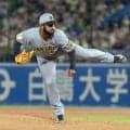 【阪神】プロ野球最多タイ10人継投の執念！緊急登板セベリーノが来日初勝利「素直に喜びたい」