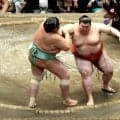【元大関・琴風の目】琴桜を圧倒…熱海富士は強い。残念だが、どっちが大関だか分からなかった。
