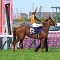 秋のGI開幕戦・スプリンターズSとシリウスS/今週の競馬界の見どころ