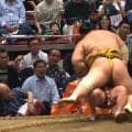 「あぶないよ炎鵬」「スープレックス？」炎鵬、“プロレス技”のような秘技炸裂も土俵際で“あわや” 169キロを全身に浴びて土俵下に落下