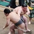 納谷が三段目で６連勝、埼玉栄高の後輩・垣添にプロ初黒星つけた