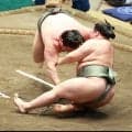 西幕下筆頭の旭富士が５勝目　十両明生を破って新十両昇進へ大きく前進