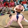 十両の友風が７敗目　取り直しの一番で東白龍にはたき込みで敗れる　「（攻めが）雑だった」と反省