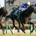 【毎日王冠想定】リアライズシリウス、アドマイヤクワッズなど12頭