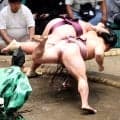 十両・炎鵬が５勝目　新十両・時不動との投げの打ち合いを制し「無事に今日が終わって良かった」