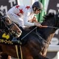 【先週のJRA抹消馬】24年愛知杯覇者ミッキーゴージャスなど