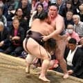 金峰山が３敗目　朝乃山に敗れ、優勝争いから後退