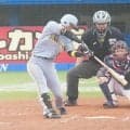 【阪神】近本光司ついに３割超え　チーム正念場で５試合連続マルチ、規定打席未満も安打量産