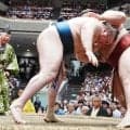 安青錦、左足引きずりながら勝ち越し　中村親方「それでもこれだけの相撲をとれている」