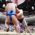 大の里、過去２戦２敗の藤ノ川を圧倒して独走態勢　元若の里の西岩親方「このまま突っ走りそう」