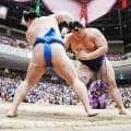 大の里が関脇藤ノ川に圧勝　2敗が消え、3敗で6人が追う