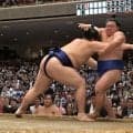 大の里が藤ノ川を破って独走状態に！１敗＆単独トップキープ　３人の２敗力士が全滅